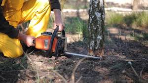 Best Soil Testing and Treatment  in Ravenswood, WV